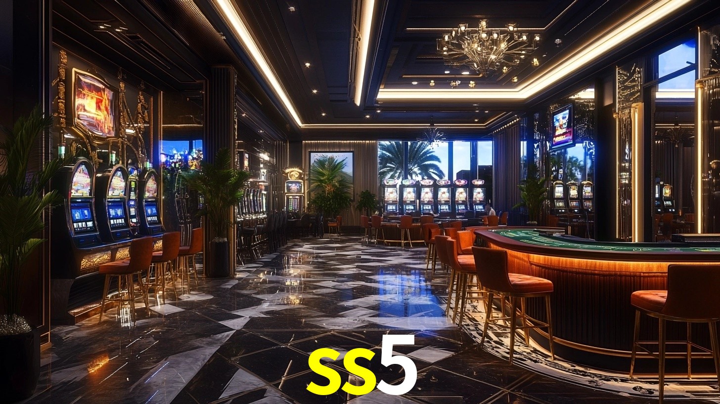 Premium Interface ss5